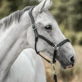 Adventskalender voor paardenliefhebbers