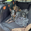 ComfortCarrier | Waar autobescherming en comfort voor je hond samenkomen | +Veilige hondenriem 4