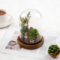 EternaBloom™ Night Light 2