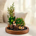 EternaBloom™ Night Light 5
