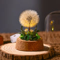 EternaBloom™ Night Light 7