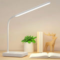 FlexiLight™ Desk Lamp 1