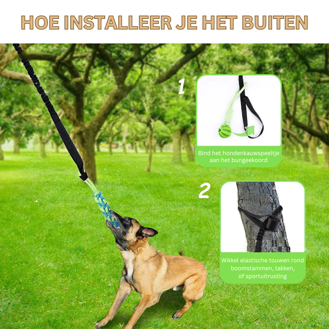 Interactief Hondenspeelgoed – Verstelbaar Nylon Trek Speelgoed voor Actief Spelen 2