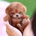 Interactive Dog Toy Robot Dog Toy Plush Puppy Toy Kids Gift 0