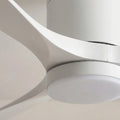 Modern Ceiling Fan With Light - Aerialynx 3