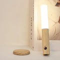 Modern Torch Motion Light 7