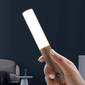 Modern Torch Motion Light 8