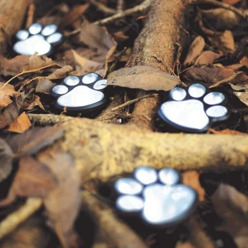 PawGlow™ 1