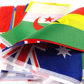 Z-ONE FLAG 100/200 Countries National Flag14x21cm 20x30cm String Flag Countries Around The World Nations Flag For Party decor VestraGear