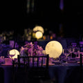 Selene™ Moon Garden Light 3