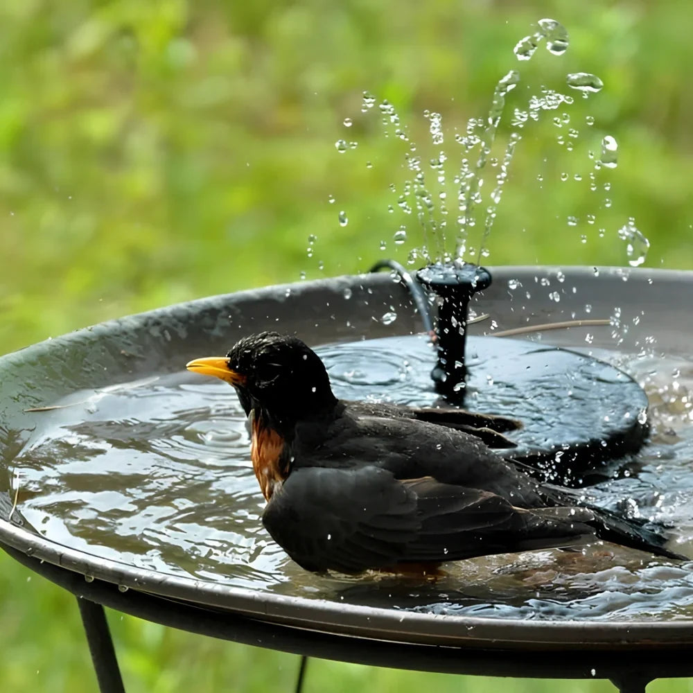 Solar Powered Radiance Fountain 3