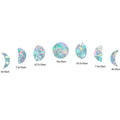 Sun Catchers 11