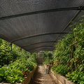 Thrives Outdoor | Shadefold Heavy Duty Shade Mesh 1