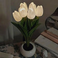 Tulip Night Light 9