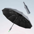 WeatherGuardian – Wind- en waterdichte zakparaplu 1